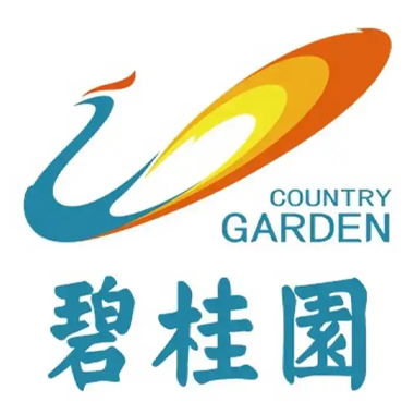 碧桂园地产集团有限公司